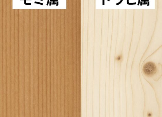 🌲モミの木とトウヒ、何が違う？ ──素材選びで差が出る“家の質”